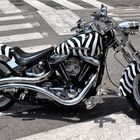 Zebrabike 