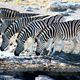 Zebrafcher in Namibia