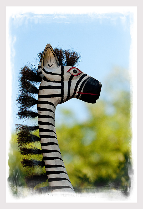 Zebraffe oder Giraffebra