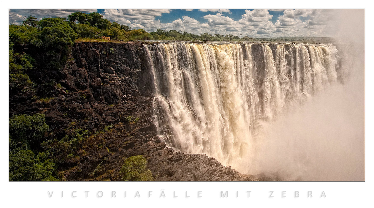 Zebras an den Victoriafällen