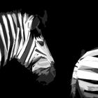 Zebras im Büro