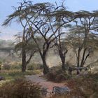Zebras im Ngorongoro Krater