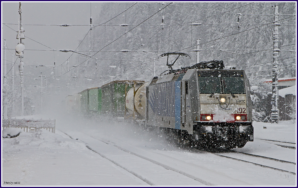 Zebras im Schnee...