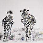 Zebras im Winter (Aquarell)