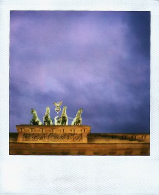 [Zebras sehen aus wie inhaftierte Pferde.]