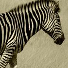 Zebrastreifen!