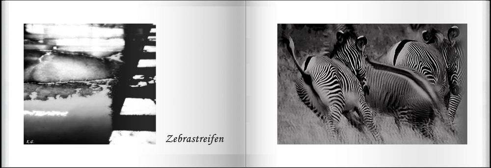 Zebrastreifen