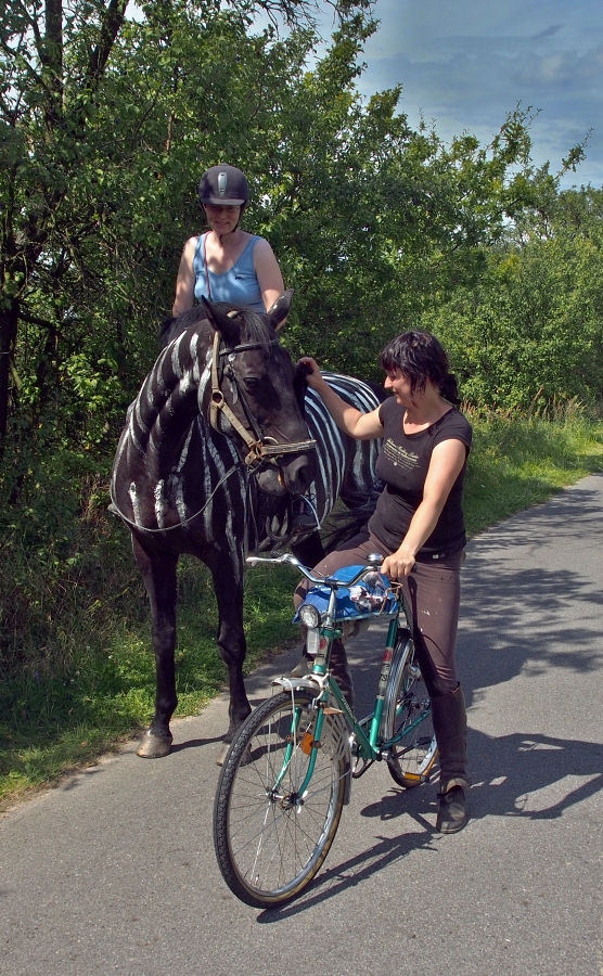 Zebrastreifen