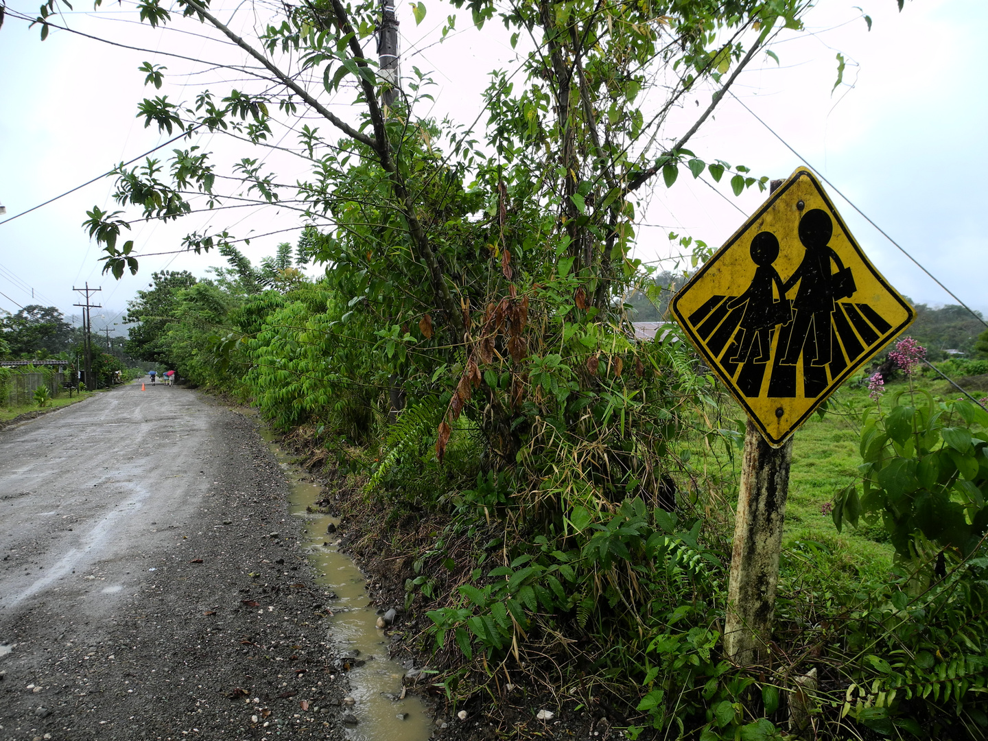 Zebrastreifen auf Costa Rica