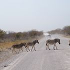 Zebrastreifen in Namibia