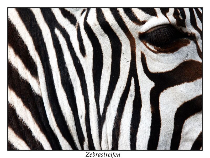 Zebrastreifen reloaded