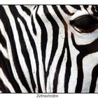 Zebrastreifen reloaded