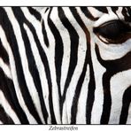 Zebrastreifen reloaded