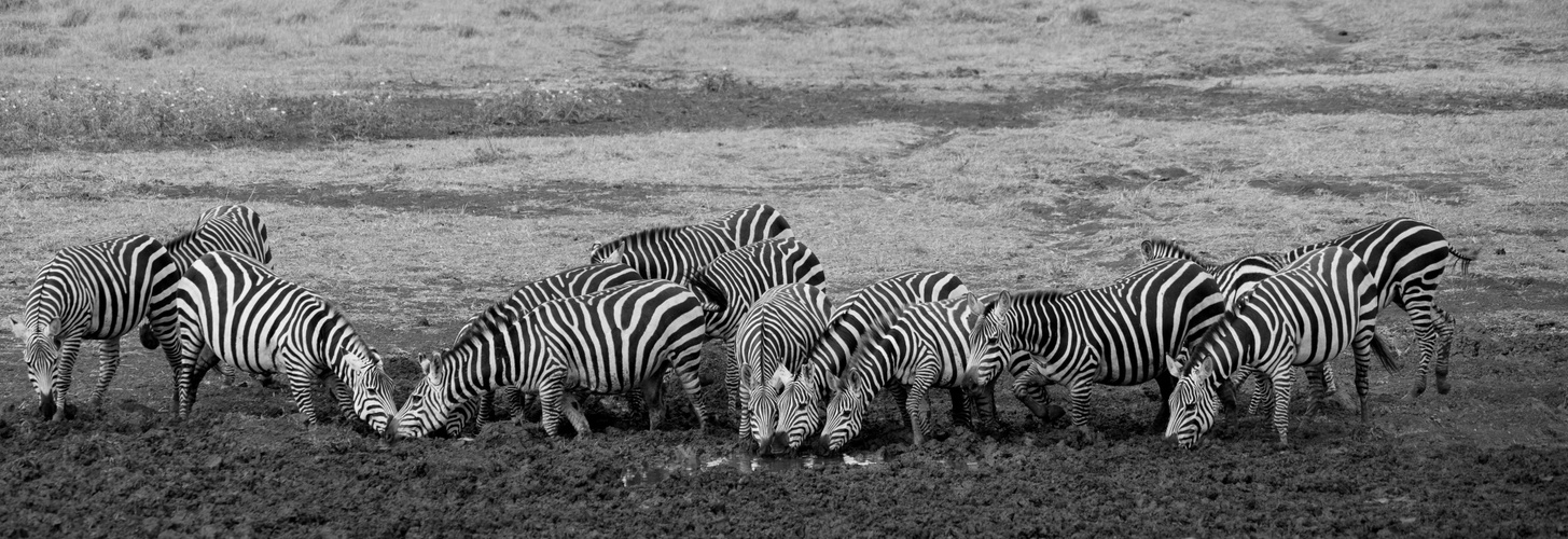 Zebratränke Tsavo East  SW 