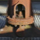 Zeche Zollverein 4 (3D)