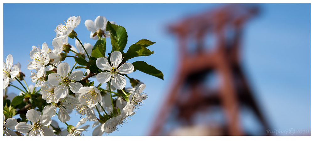 Zeche Zollverein