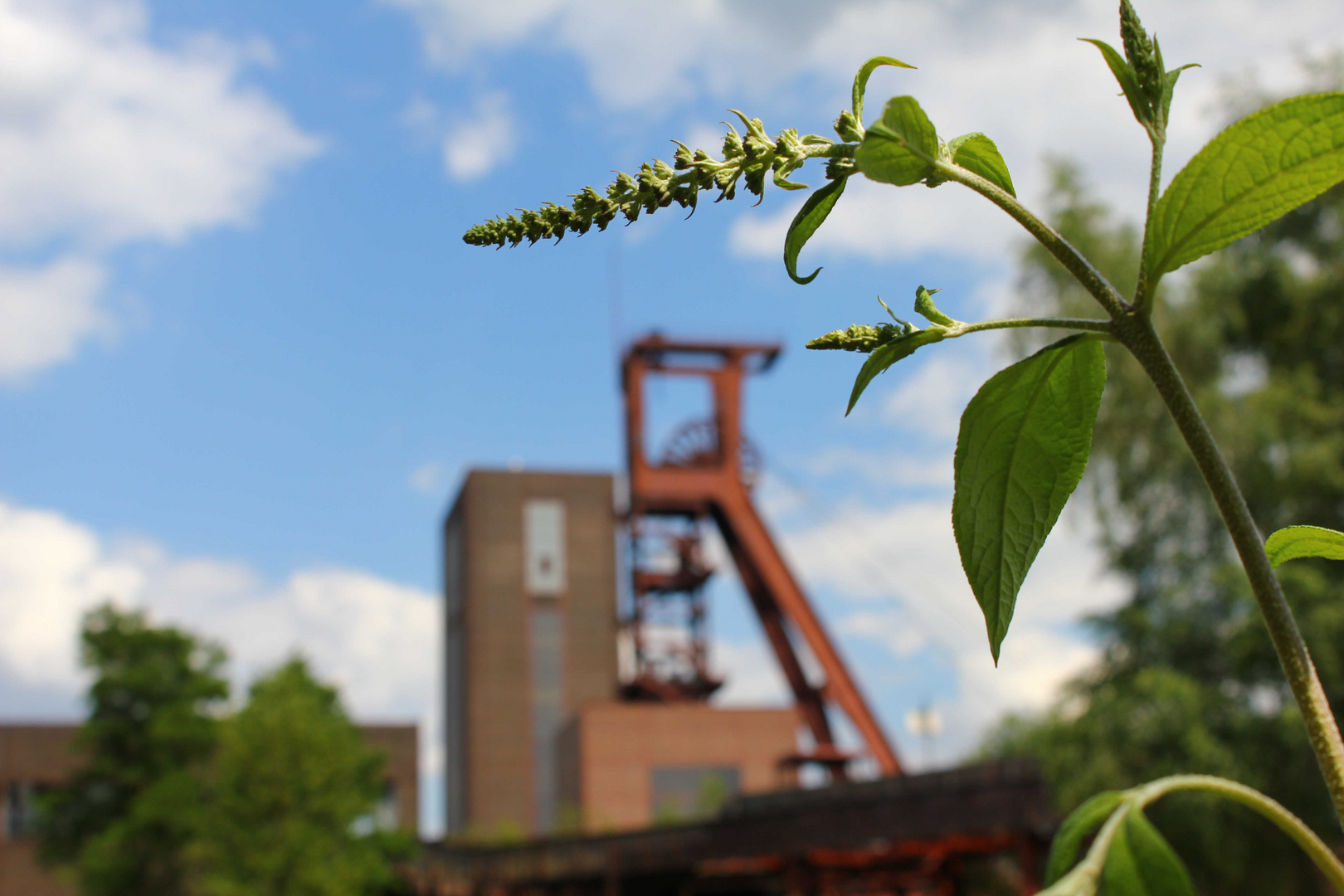 Zeche Zollverein