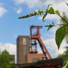 Zeche Zollverein