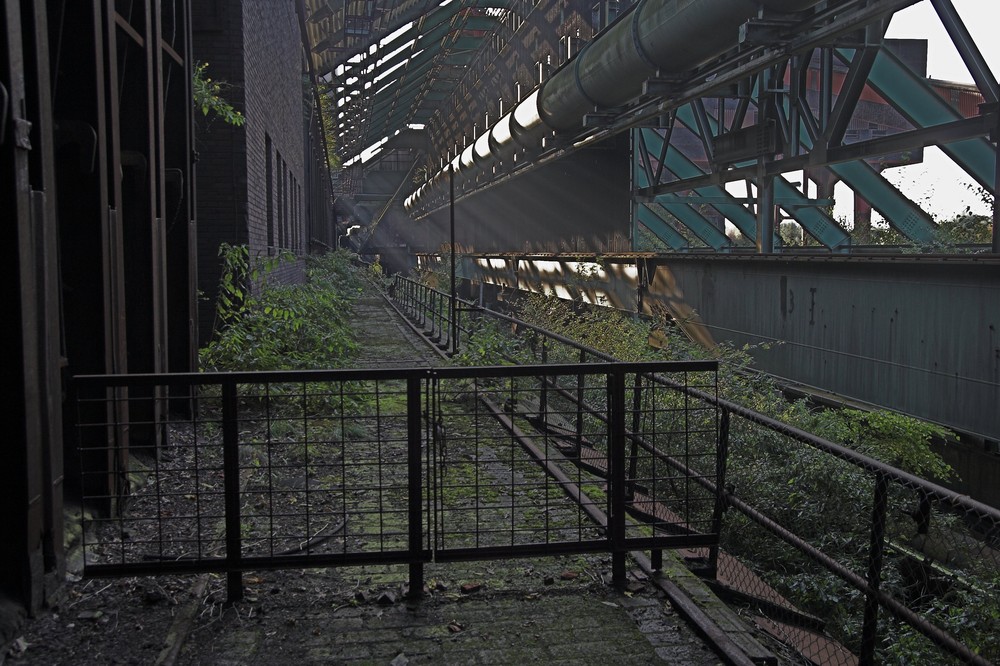 Zeche Zollverein Essen II