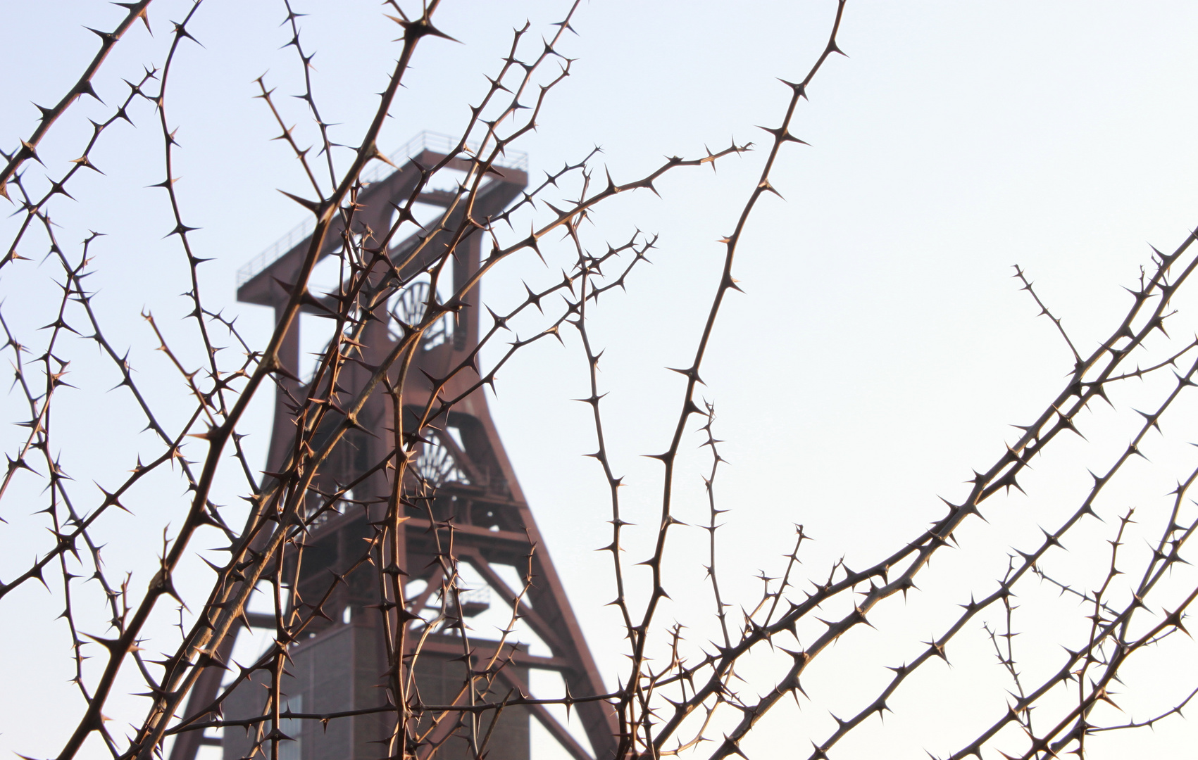 Zeche Zollverein im Dornröschenschlaf