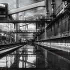 zeche-zollverein-wasser