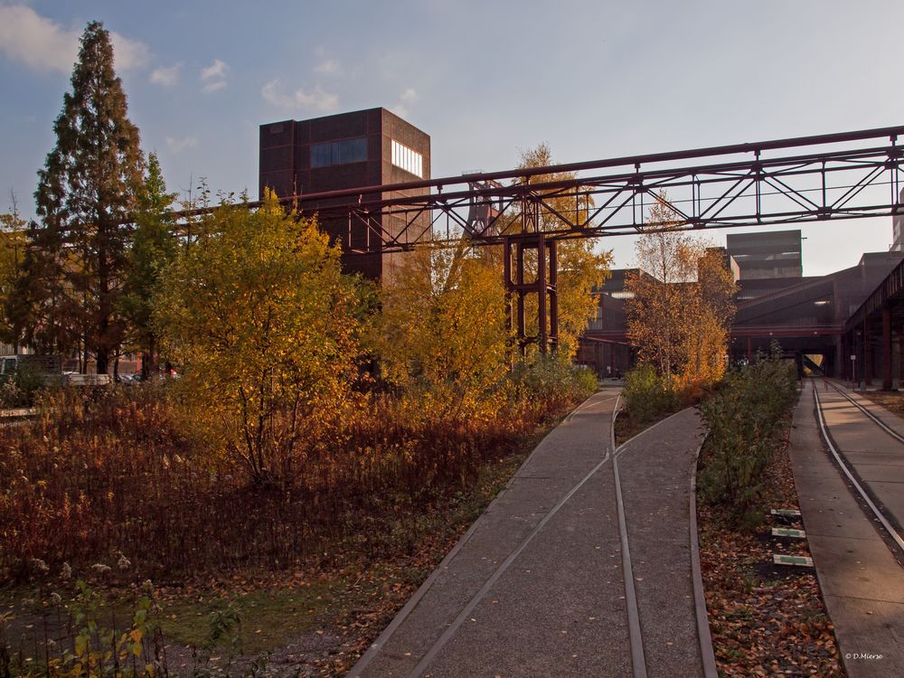 Zechen Gelände  Zeche Zollverein