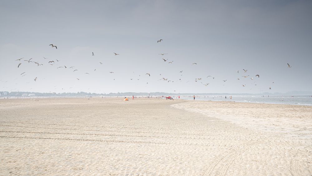 Zeebrugge-Strand