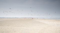 Zeebrugge-Strand