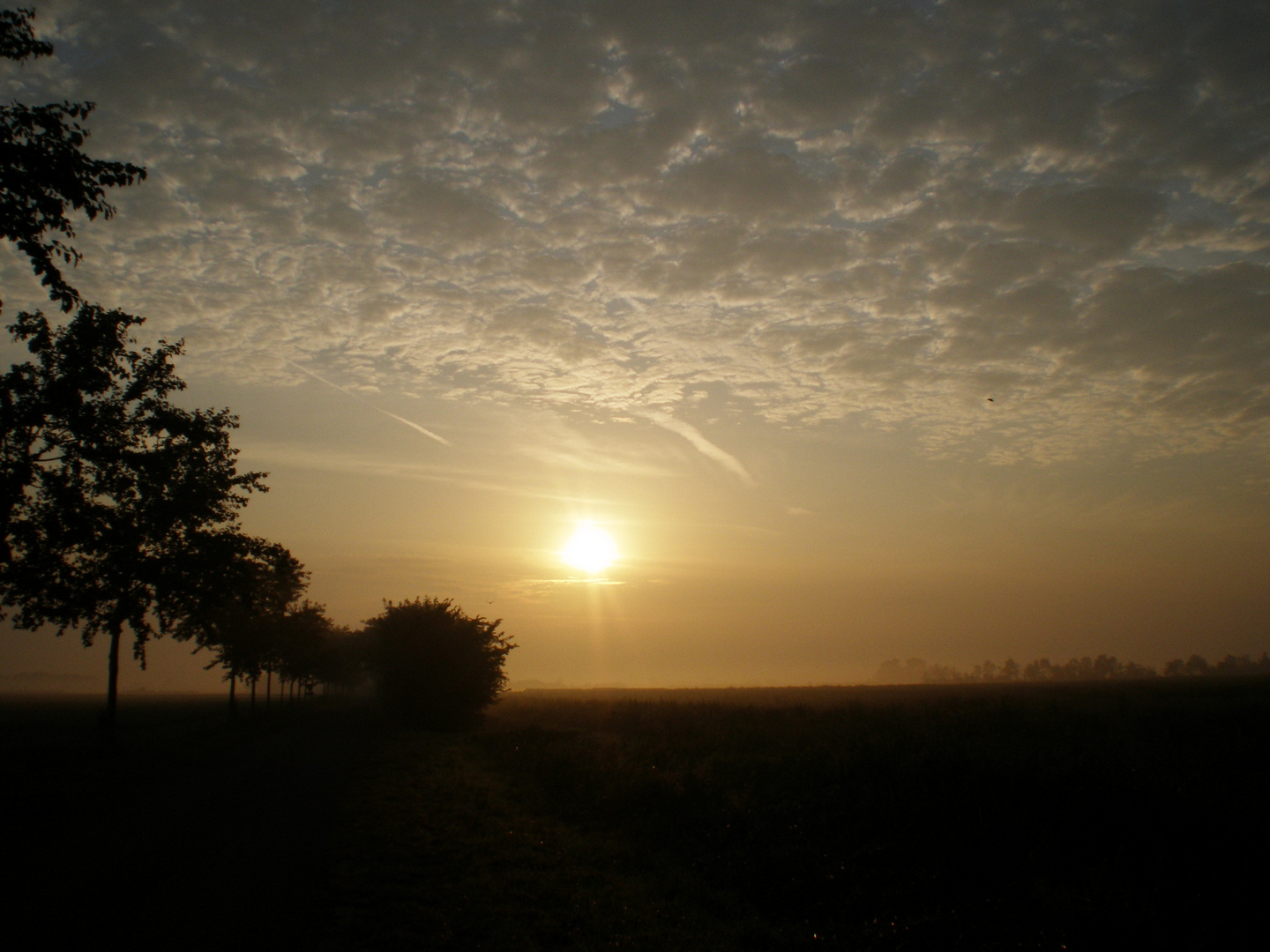 Zeeland