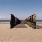 zeeland beach 3