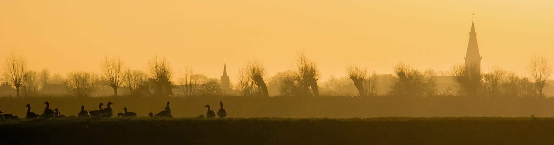 Zeeland in der Abendsonne im Winter