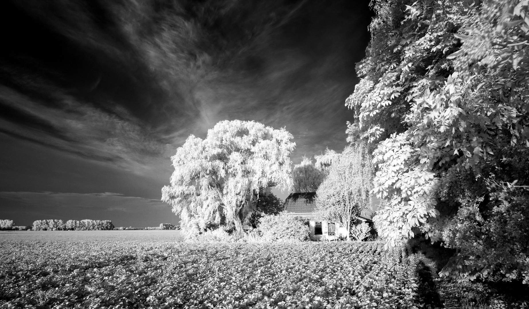 Zeeland / NL