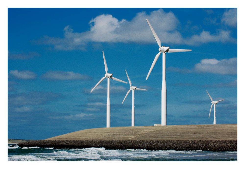 Zeeland, unberührte Natur...