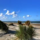 Zeeland(2.)