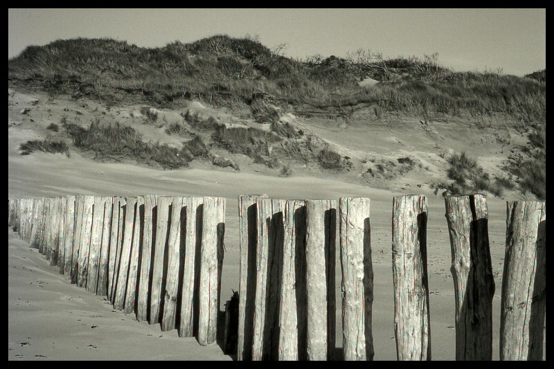 Zeepeduinen