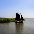 Zeesboot auf dem Bodden