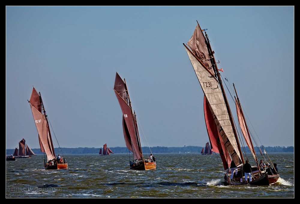 Zeesboot Regatta 2009