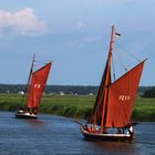 Zeesboote auf dem Saaler Bodden