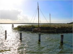 Zeesboote auf Fischland-Darß