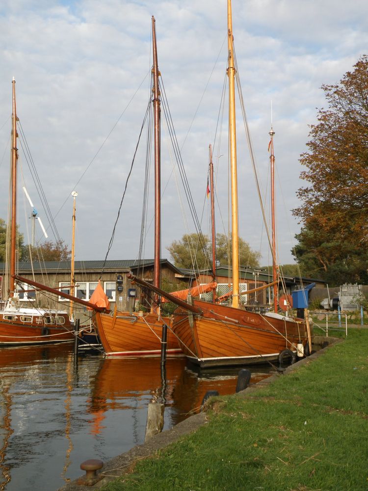 Zeesboote im Hafen