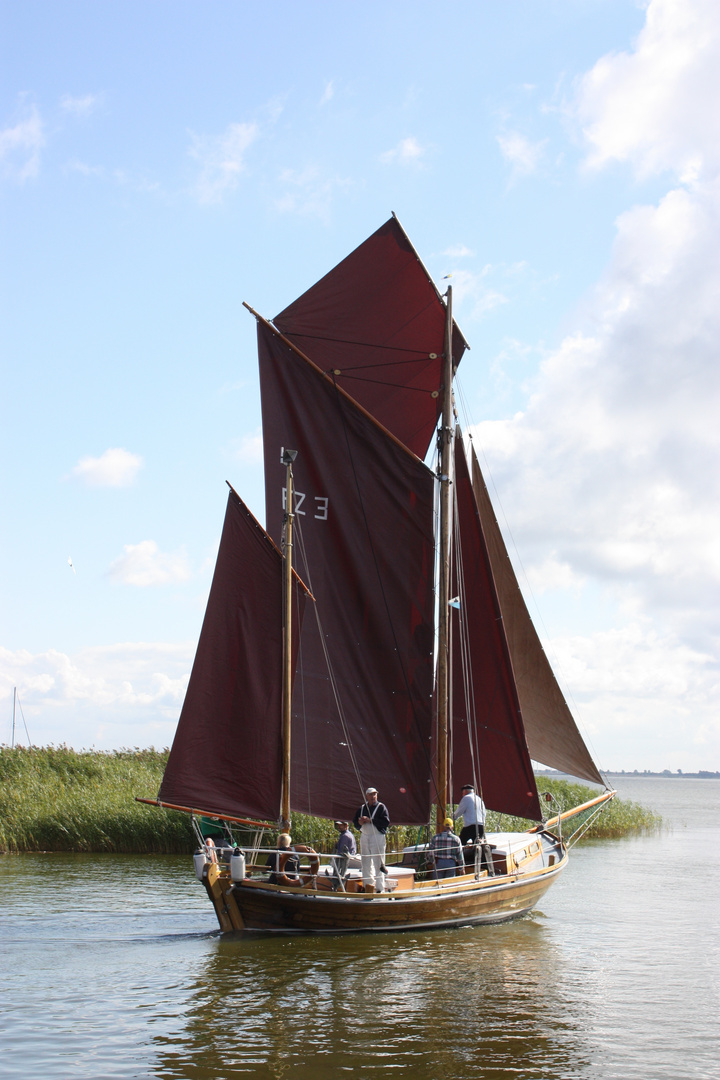 Zeesboote im kompletten Segel