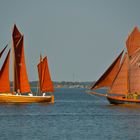 Zeesbootregatta in Bodstedt