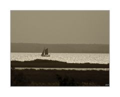 Zeesenboot auf dem Bodden