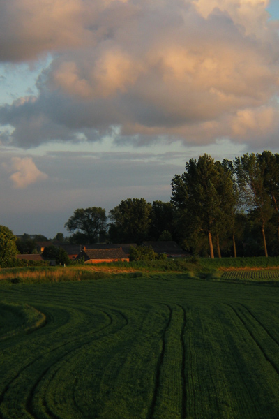 Zeeuws-Vlaanderen/Abendlicht