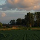 Zeeuws-Vlaanderen/Abendlicht