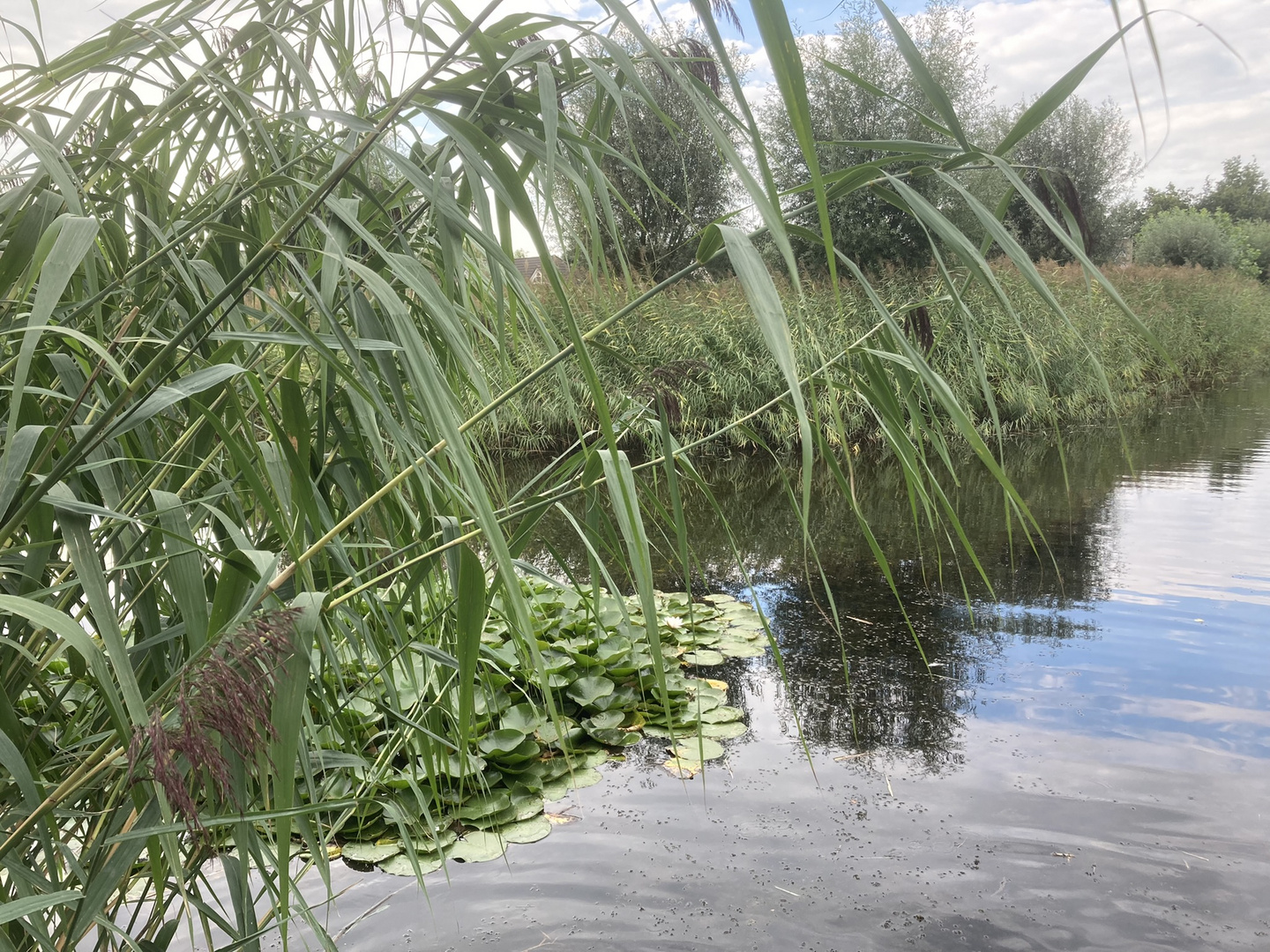 Zeewolde / Flevoland