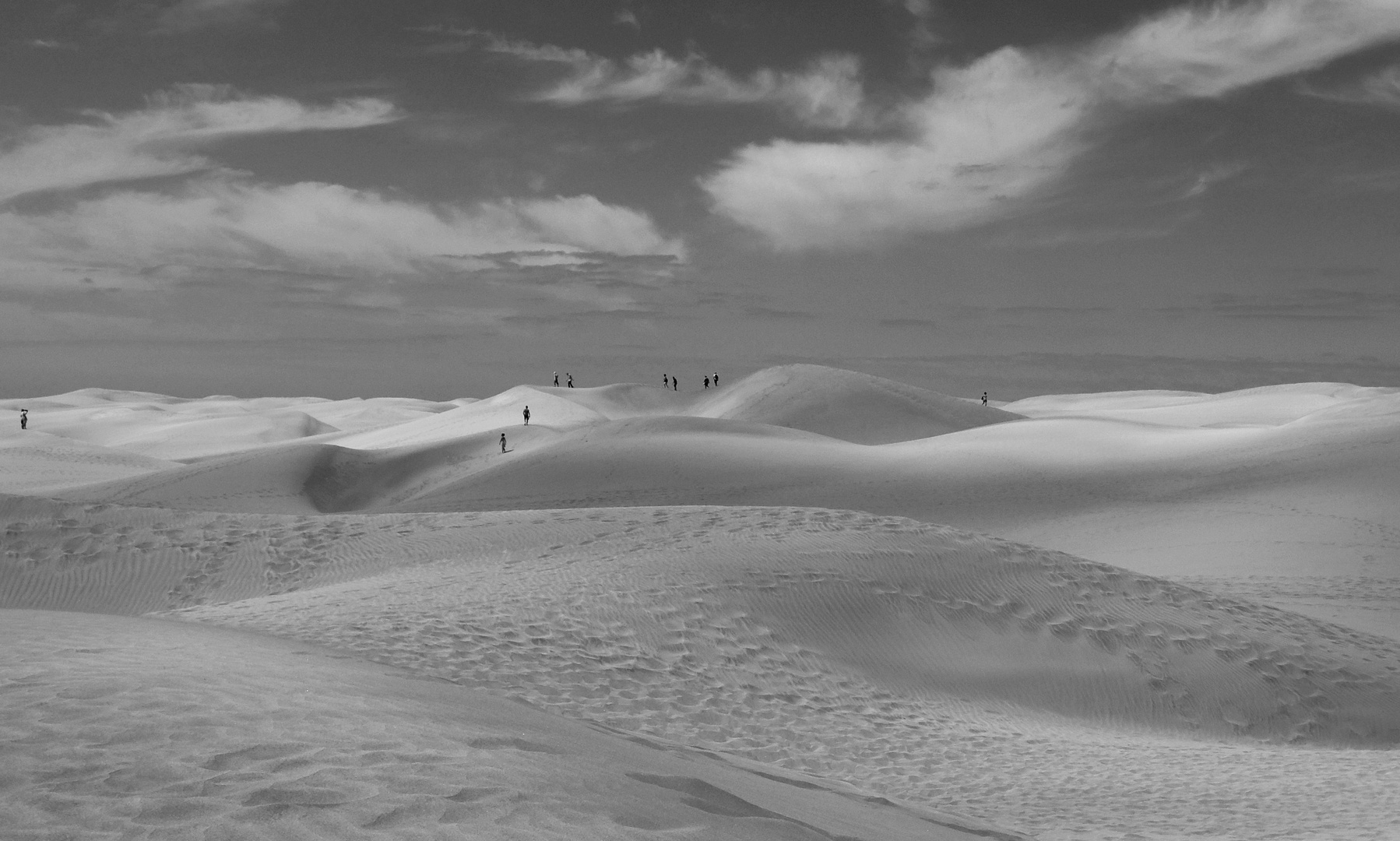 zehn in den dünen von maspalomas.