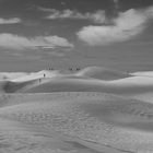 zehn in den dünen von maspalomas.