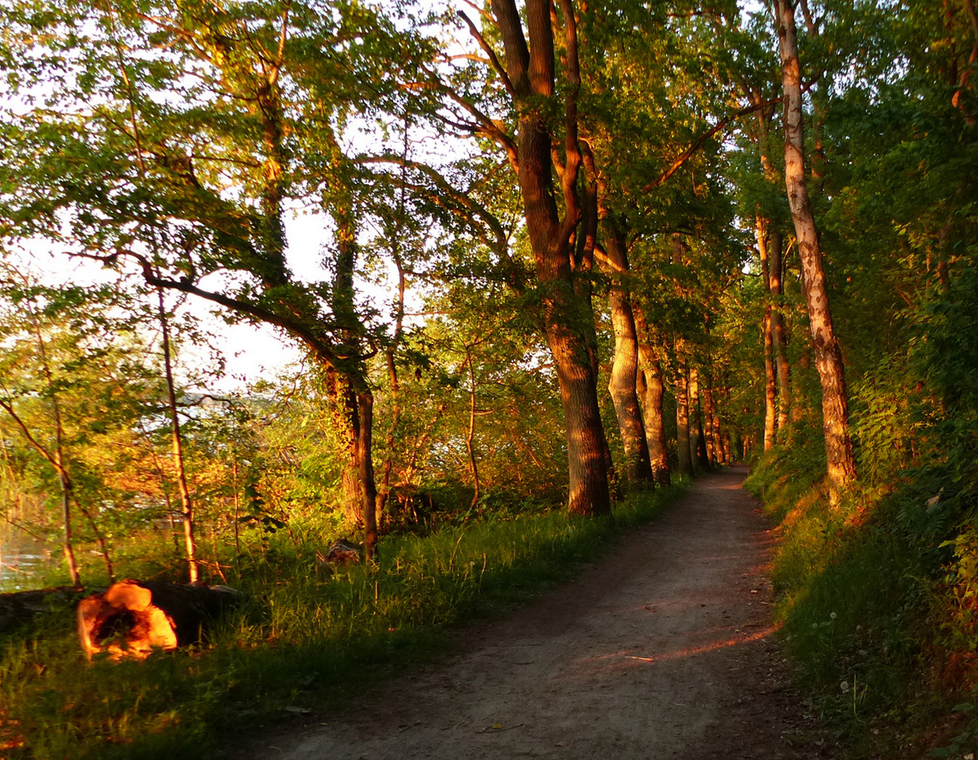 Zehn Kilometer lang ist die Uferpromenade rund um den Arendsee.