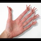 Zehnfingerhand